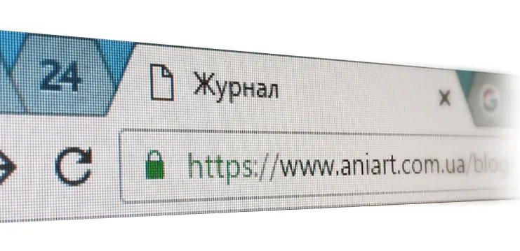 SSL Certificates for E-commerce: Why No Online Store Can Do Without Them